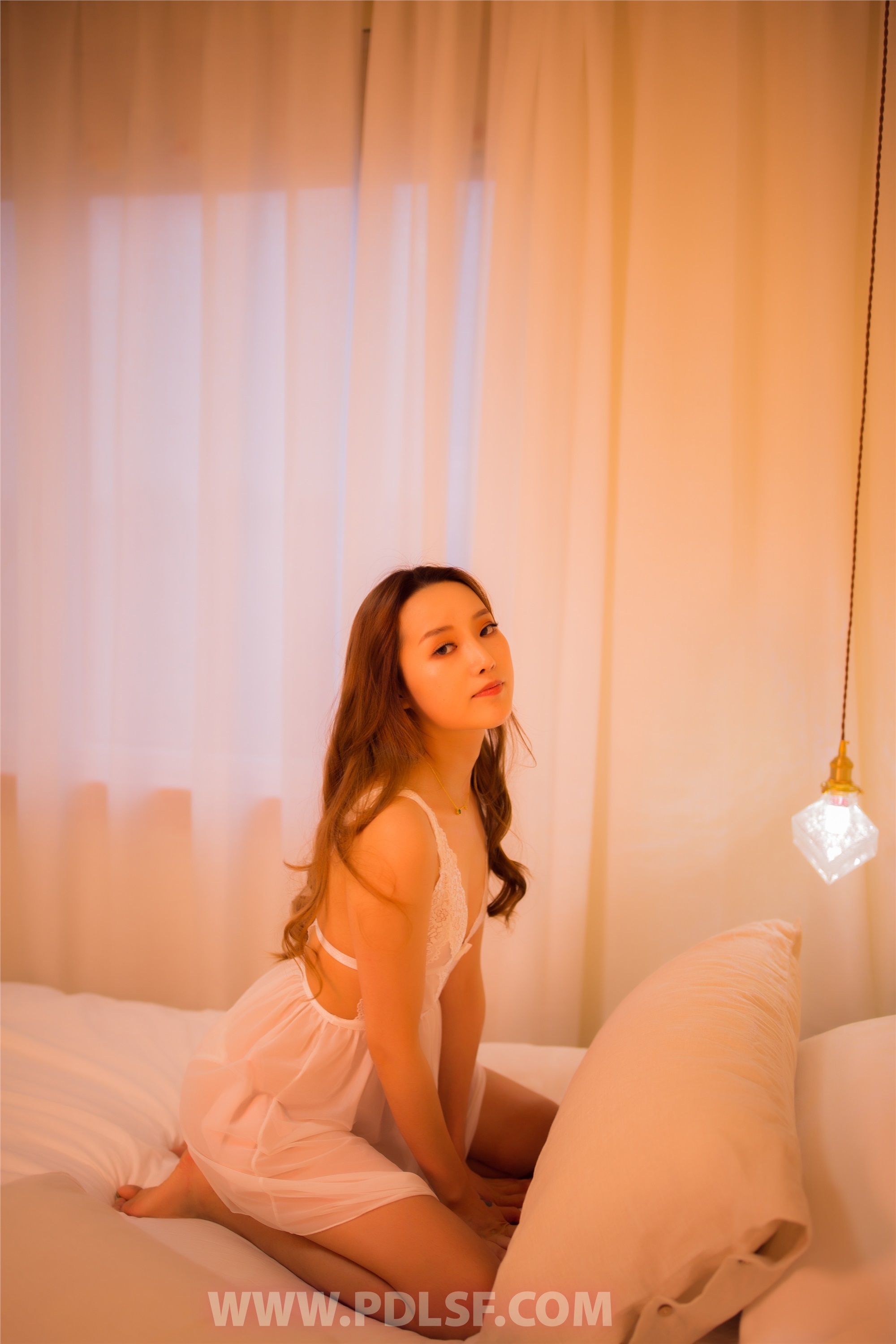 PDL潘多拉 2019.12.21 专辑No.255